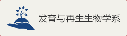 發育與再生生物學系