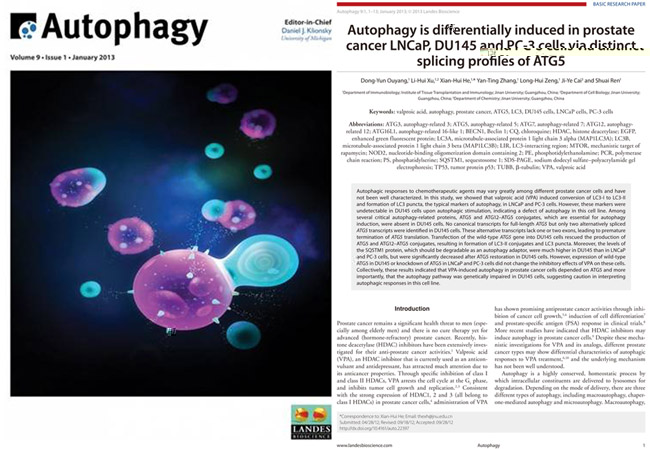 我院何賢輝和歐陽東雲研究小組在《Autophagy》發表最新研究成果