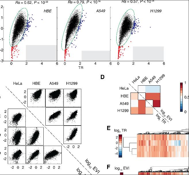 張弓研究組在《PLOS Genetics》發表翻譯組學突破性文章